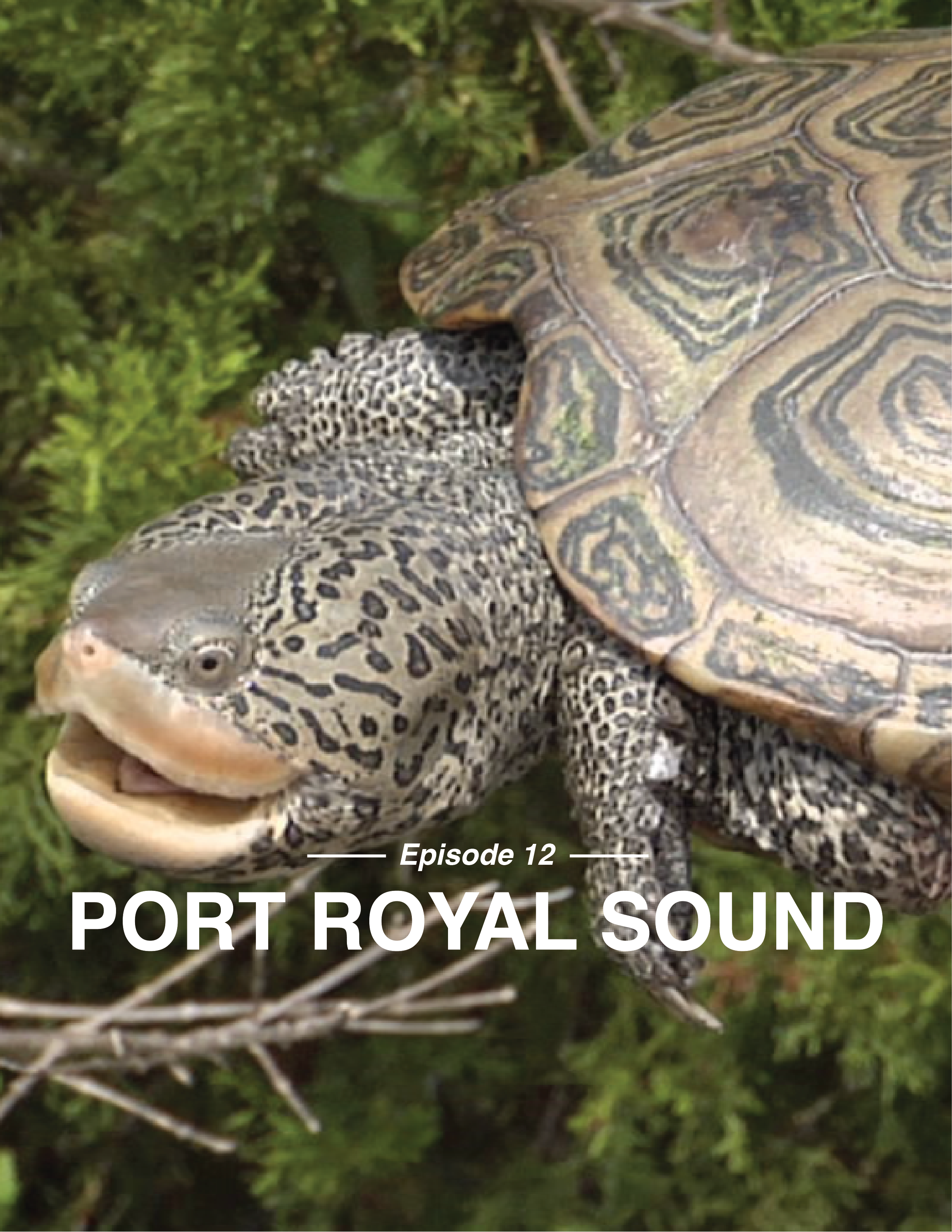 Port Royal Sound